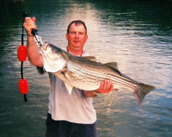 Striper Hybrid Fishing Tenessee
[url=http://www.trophyfishingtn.com/]TrophyFishingTN.Com[/url]
