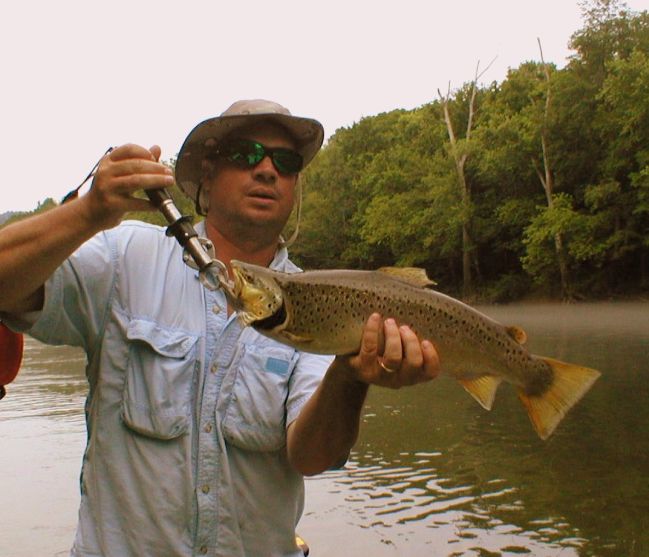 Brown Trout Fishing
[url=http://www.trophyfishingtn.com/]TrophyFishingTN.Com[/url]
Keywords: Tennessee Fly Fishing TN Fishing Brown Trout