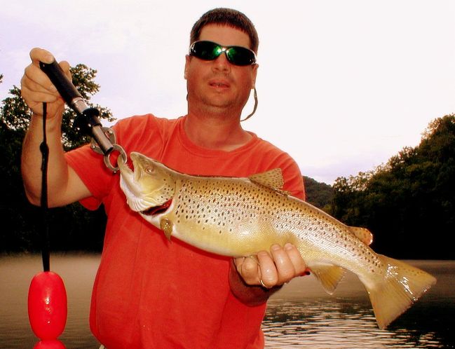 Brown Trout Fishing
[url=http://www.trophyfishingtn.com/]TrophyFishingTN.Com[/url]
Keywords: Tennessee Fly Fishing TN Fishing Brown Trout