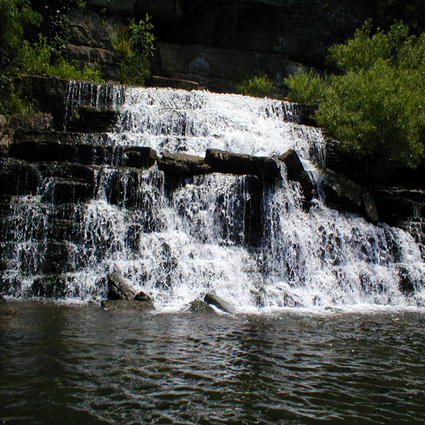 Caney
[url=http://www.trophyfishingtn.com/]TrophyFishingTN.Com[/url]
Keywords: Tennessee Scenic River Photography Trips
