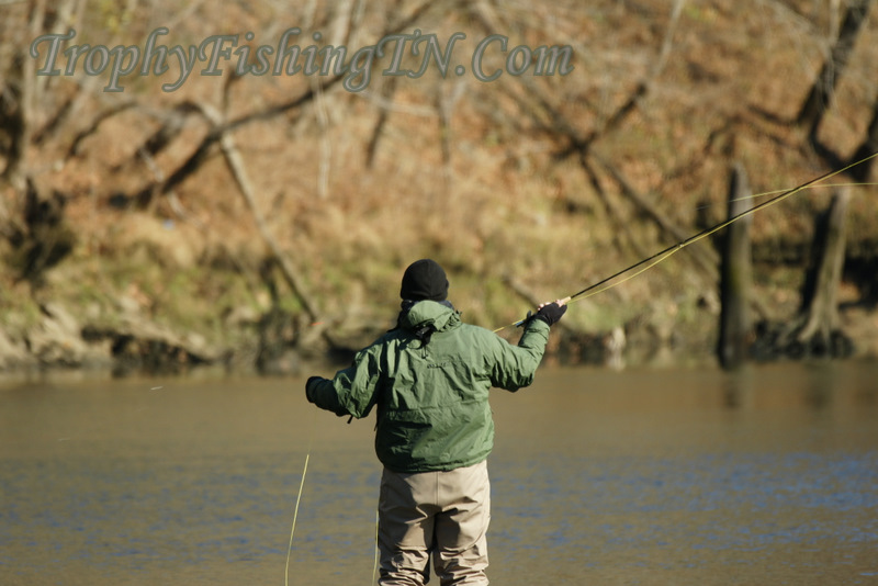 Fly Fishing TN
Keywords: Fly Fishing TN