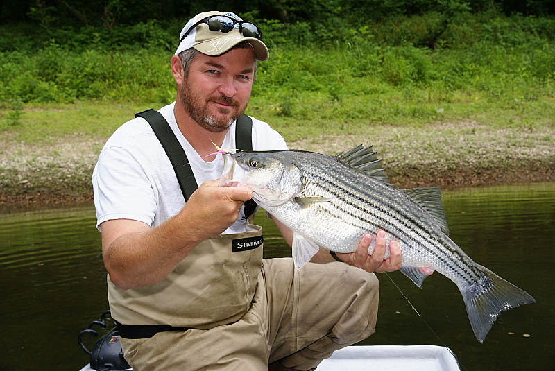 Striper Fishing Tenessee
Striper Fishing Tenessee
Keywords: Striper Fishing Tenessee
