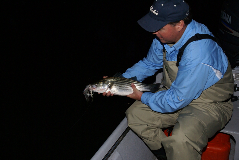 Striper Fishing Tenessee
Striper Fishing Tenessee
Keywords: Striper Fishing Tenessee