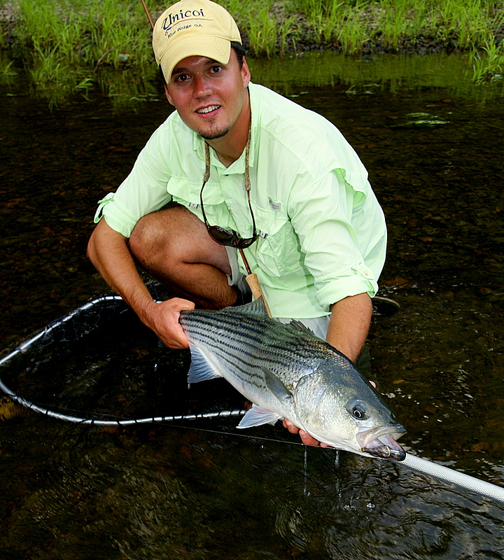 [url=http://www.trophyfishingtn.com/]TrophyFishingTN.Com[/url]
Keywords: Striper Fishing Tennessee