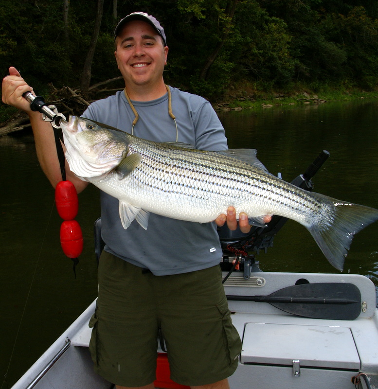 Striper Fishing Tennessee
[url=http://www.trophyfishingtn.com/]TrophyFishingTN.Com[/url]
Keywords: Striper Fishing Tennessee
