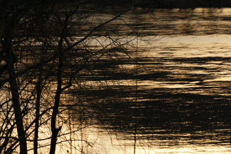 Keywords: Fly Fishing TN