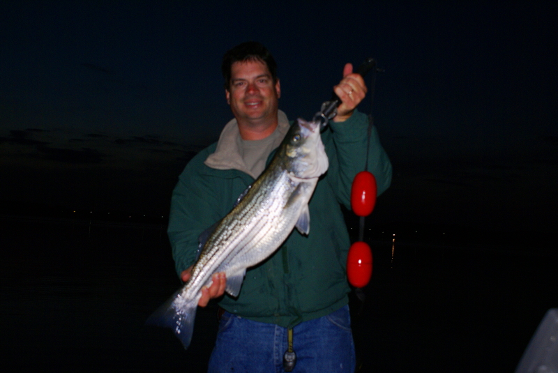 Striper fly Fishing Tennessee
[url=http://www.trophyfishingtn.com/]TrophyFishingTN.Com[/url]
Keywords: Striper fly Fishing Tennessee