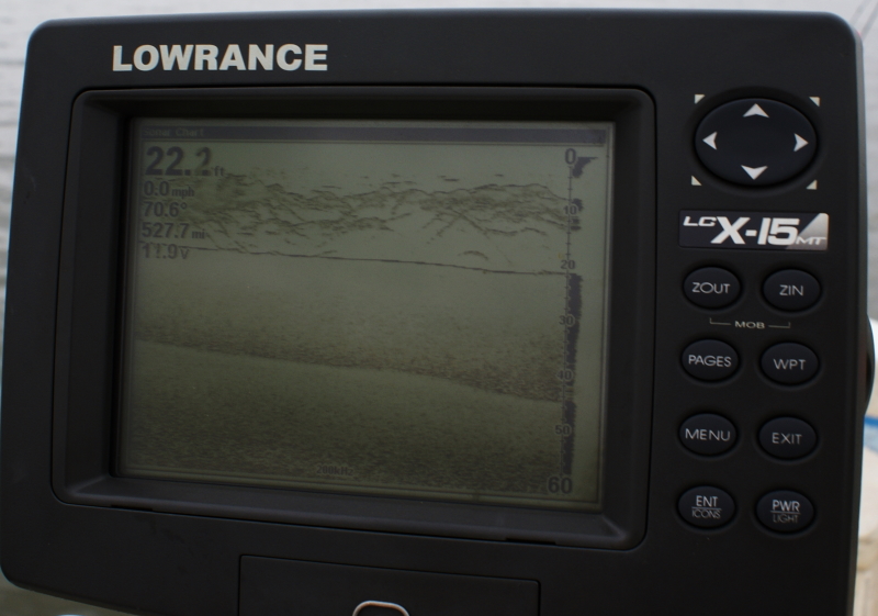 Striper fly Fishing Tennessee
[url=http://www.trophyfishingtn.com/]TrophyFishingTN.Com[/url]
Keywords: Striper fly Fishing Tennessee