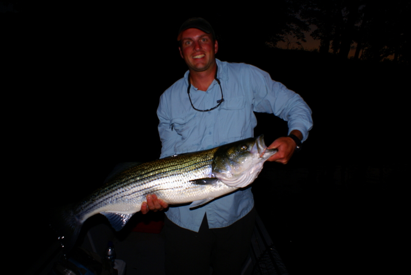 Striper fly Fishing Tennessee
[url=http://www.trophyfishingtn.com/]TrophyFishingTN.Com[/url]
Keywords: Striper fly Fishing Tennessee