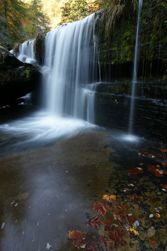 DSC02794~0.JPG