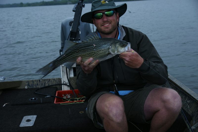 Striper fly Fishing Tennessee
[url=http://www.trophyfishingtn.com/]TrophyFishingTN.Com[/url]
Keywords: Striper fly Fishing Tennessee