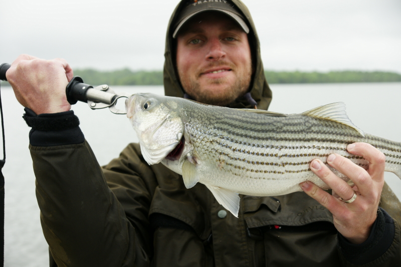 Striper fly Fishing Tennessee
[url=http://www.trophyfishingtn.com/]TrophyFishingTN.Com[/url]
Keywords: Striper fly Fishing Tennessee