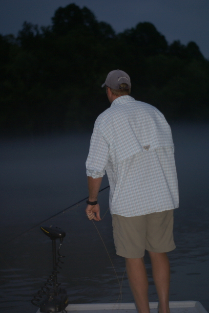 Striper fly Fishing Tennessee
[url=http://www.trophyfishingtn.com/]TrophyFishingTN.Com[/url]
Keywords: Striper fly Fishing Tennessee