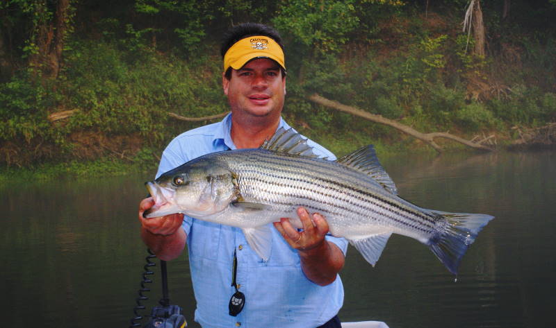 Striper fly Fishing Tennessee
[url=http://www.trophyfishingtn.com/]TrophyFishingTN.Com[/url]
Keywords: Striper fly Fishing Tennessee