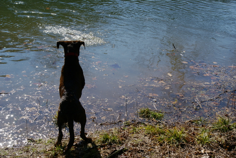 Keywords: Fly Fishing TN