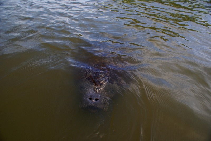 FL Trip Aug 2007 013.jpg