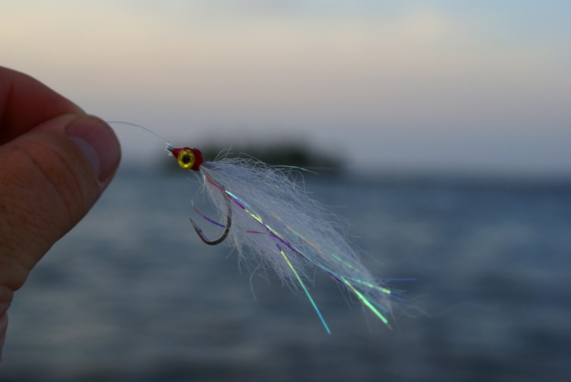 FL Trip Aug 2007 016.jpg