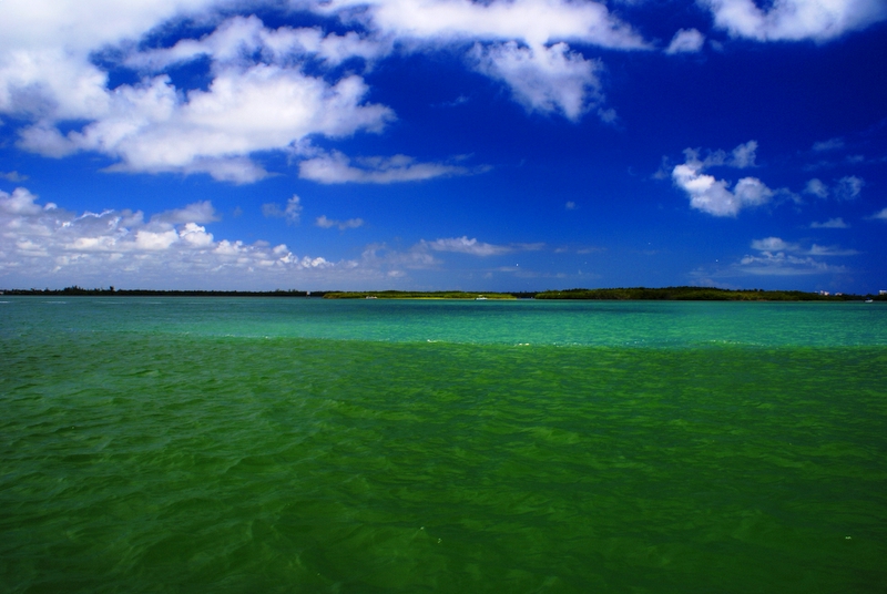 FL Trip Aug 2007 019.jpg