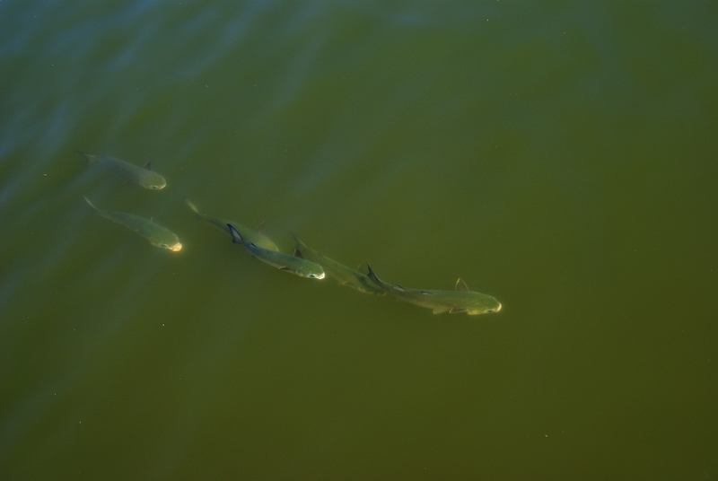 FL Trip Aug 2007 031.jpg