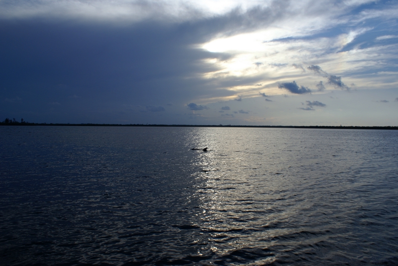 FL Trip Aug 2007 045.jpg