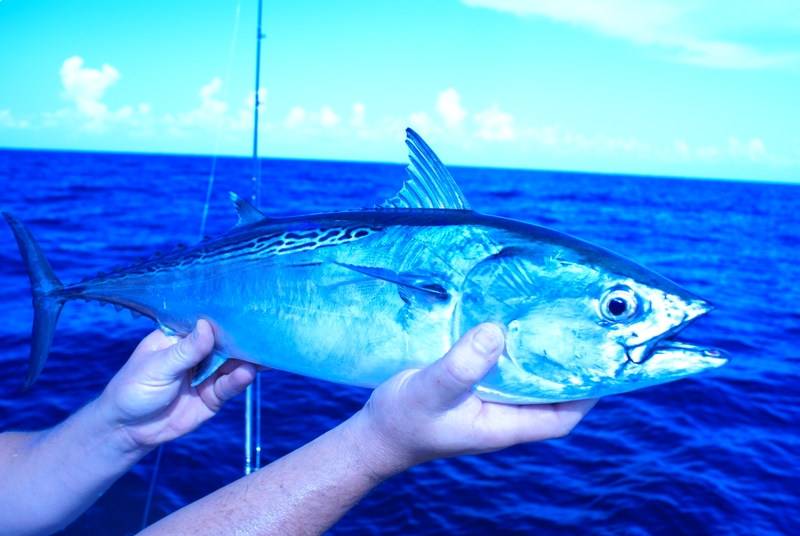 FL Trip Aug 2007 047.jpg