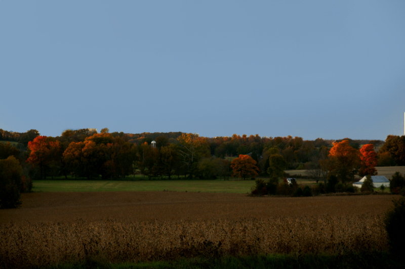 Fall on the farm.JPG
