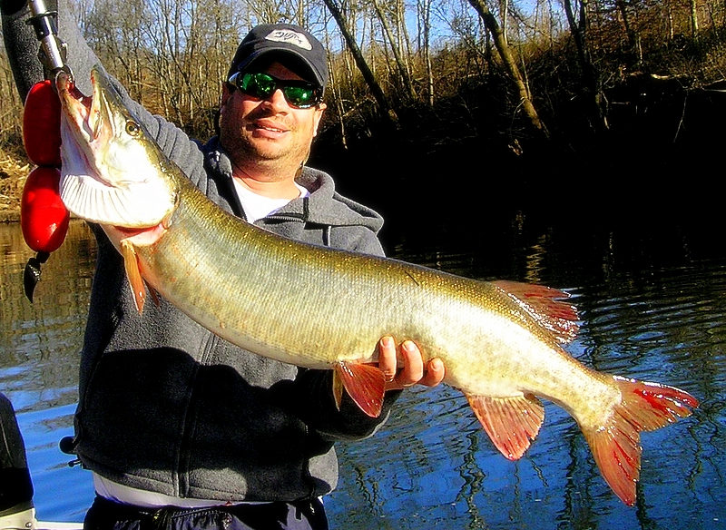 Big Boy
Tennessee Musky Fishing 
[url=http://www.trophyfishingtn.com/]TrophyFishingTN.Com[/url]

Keywords: Tennessee Muskie Musky fishing Musky fly fishing