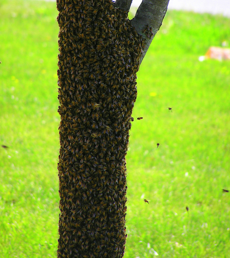 [url=http://www.trophyfishingtn.com/]TrophyFishingTN.Com[/url]
