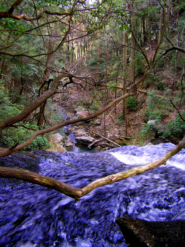 [url=http://www.trophyfishingtn.com/]TrophyFishingTN.Com[/url]
Keywords: Tennessee Scenic River Photography Trips