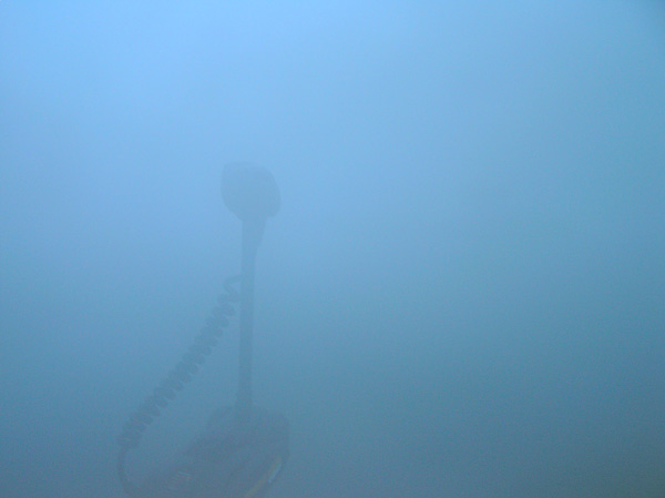 [url=http://www.trophyfishingtn.com/]TrophyFishingTN.Com[/url]
Keywords: Tennessee Scenic River Photography Trips