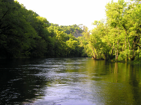 Obey River
[url=http://www.trophyfishingtn.com/]TrophyFishingTN.Com[/url]
Keywords: Tennessee Scenic River Photography Trips