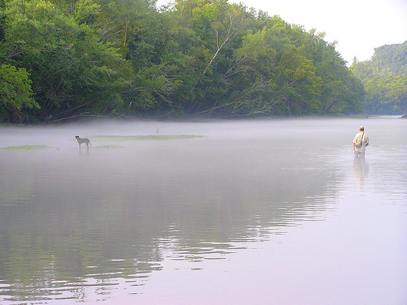 [url=http://www.trophyfishingtn.com/]TrophyFishingTN.Com[/url]
Keywords: Tennessee Scenic River Photography Trips