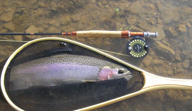 Rainbow Trout Fishing
[url=http://www.trophyfishingtn.com/]TrophyFishingTN.Com[/url]
Keywords: Trout Fishing Tennessee