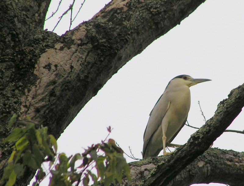 [url=http://www.trophyfishingtn.com/]TrophyFishingTN.Com[/url]
Keywords: Tennessee Scenic River Photography Trips