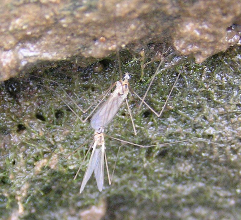 [url=http://www.trophyfishingtn.com/]TrophyFishingTN.Com[/url]
