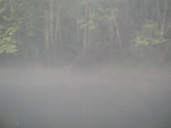 Caney
[url=http://www.trophyfishingtn.com/]TrophyFishingTN.Com[/url]
Keywords: Tennessee Scenic River Photography Trips