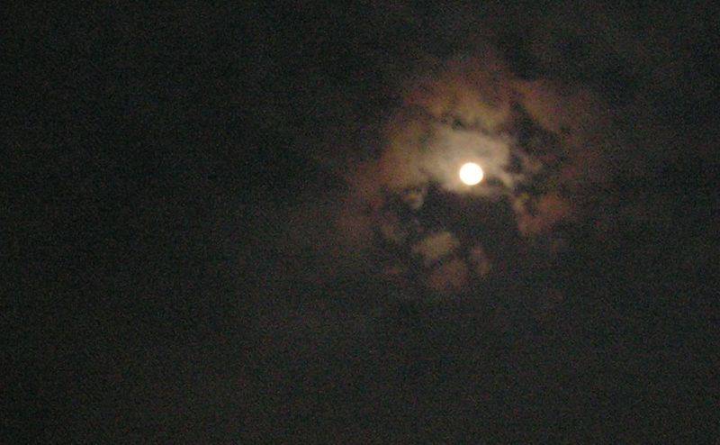 [url=http://www.trophyfishingtn.com/]TrophyFishingTN.Com[/url]
Keywords: Tennessee Scenic River Photography Trips