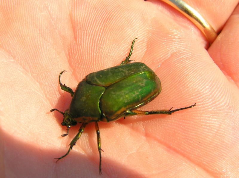 [url=http://www.trophyfishingtn.com/]TrophyFishingTN.Com[/url]
