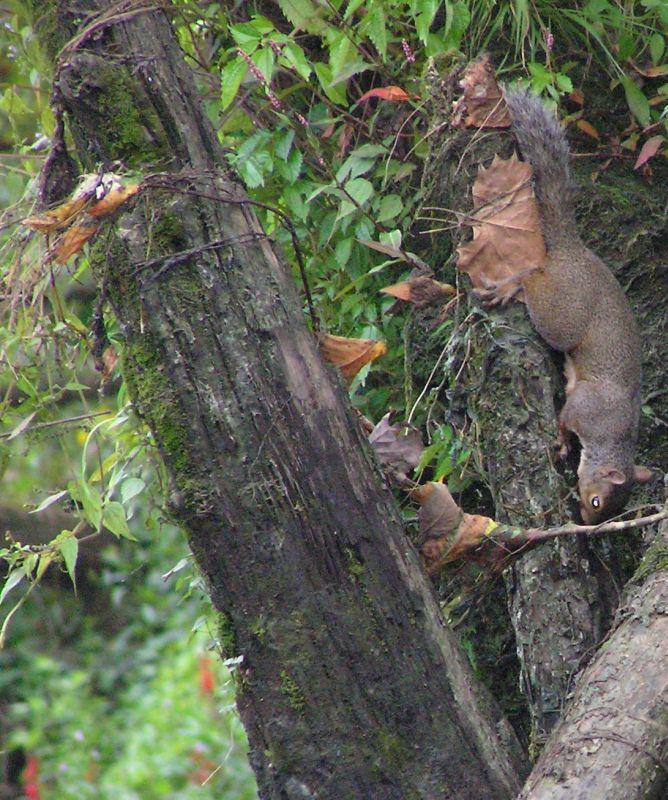 [url=http://www.trophyfishingtn.com/]TrophyFishingTN.Com[/url]
Keywords: Tennessee Scenic River Photography Trips