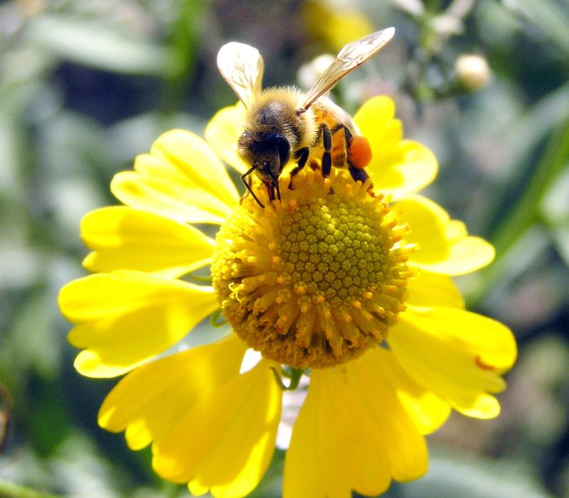 [url=http://www.trophyfishingtn.com/]TrophyFishingTN.Com[/url]
