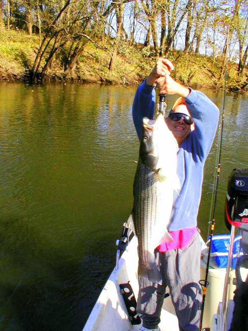 Striper Hybrid Fishing Tenessee
[url=http://www.trophyfishingtn.com/]TrophyFishingTN.Com[/url]

