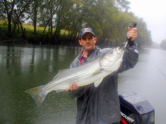 Striper Hybrid Fishing Tenessee
[url=http://www.trophyfishingtn.com/]TrophyFishingTN.Com[/url]
