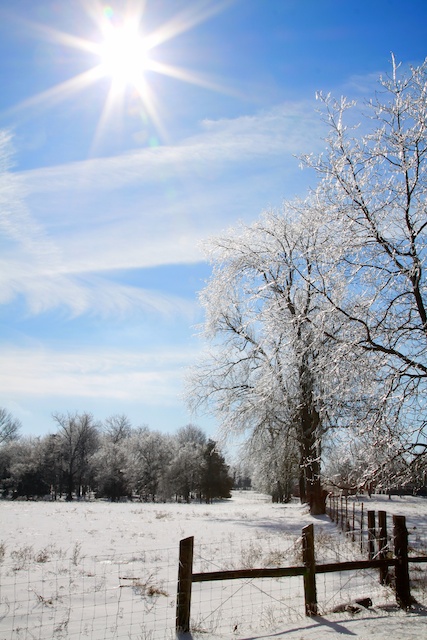 Keywords: Fly Fishing TN