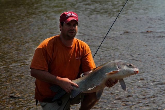 Buffalo Carp
Keywords: Buffalo Carp