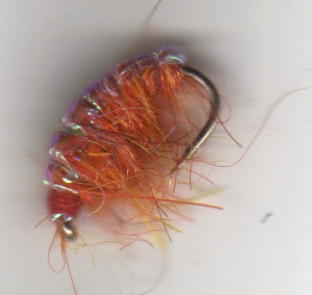 Killer flashback Scud! Pic does this fly no justice.
