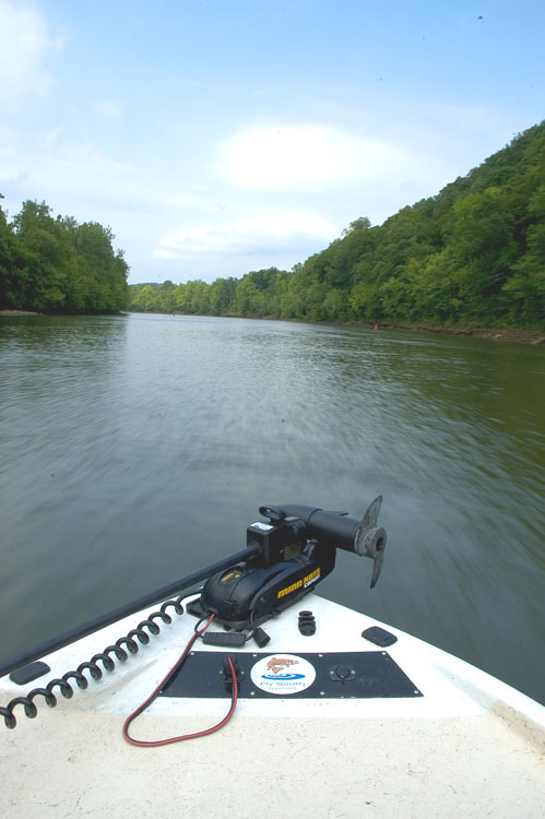 [url=http://www.trophyfishingtn.com/]TrophyFishingTN.Com[/url]
Keywords: Tennessee Scenic River Photography Trips