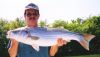 Filename=Striper013.jpg
Filesize=50KiB
Dimensions=649x374
Date added=Feb 23, 2006 Striper013.jpg