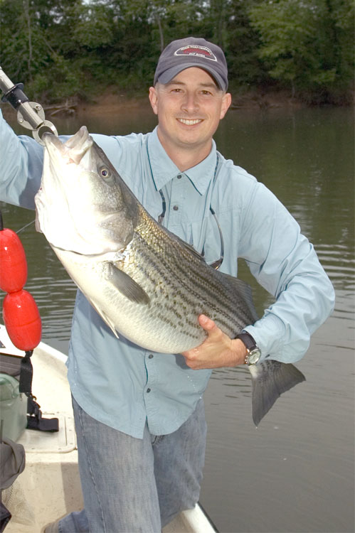 Striper Hybrid Fishing Tenessee
[url=http://www.trophyfishingtn.com/]TrophyFishingTN.Com[/url]

